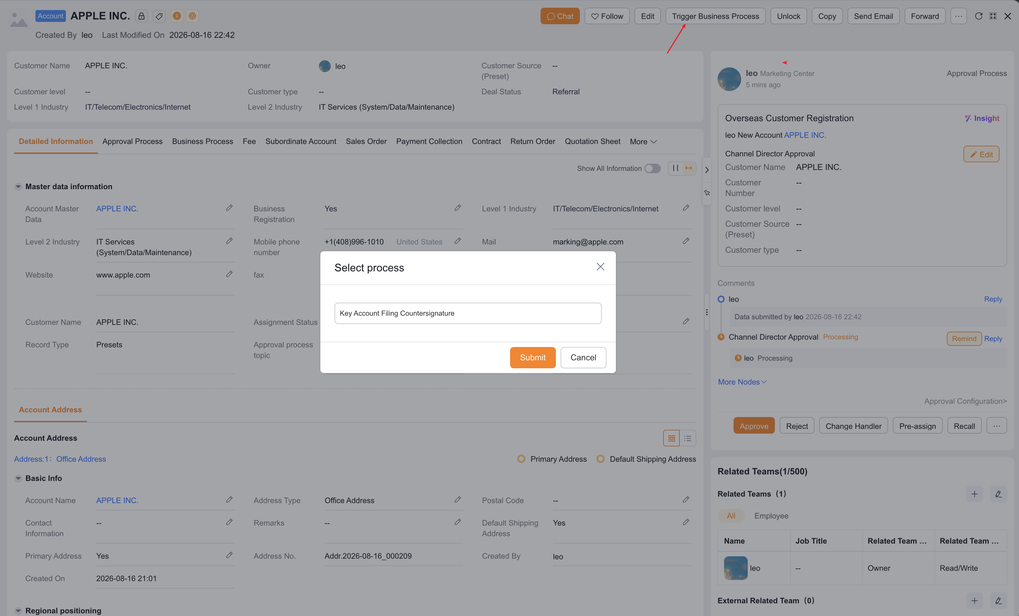 Start a Business Process from the object details page